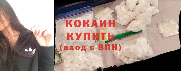 индика Абинск