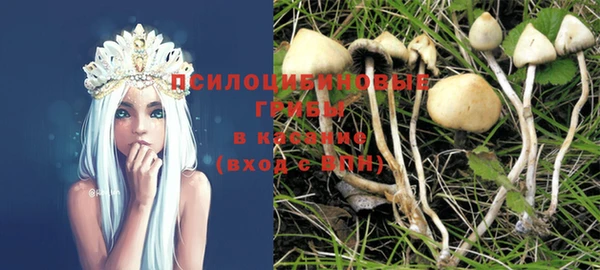 круглые Абаза