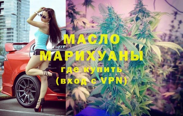 индика Абинск