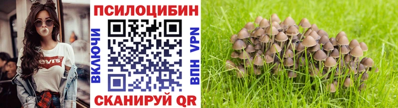 гидра рабочий сайт  Элиста  Псилоцибиновые грибы GOLDEN TEACHER 