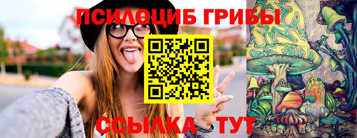 Галлюциногенные грибы ЛСД  Галлюциногенные грибы Psilocybe  наркота  Вход с VPN  Элиста 