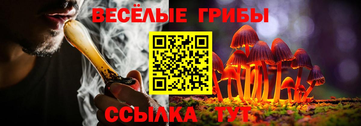 Галлюциногенные грибы прущие грибы Элиста
